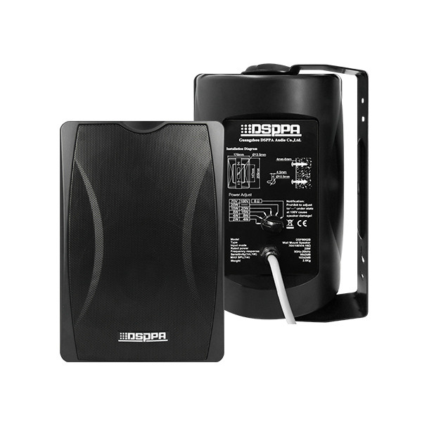 Loa treo tường 30W DSP8063B